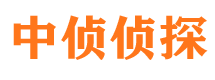 大丰侦探公司